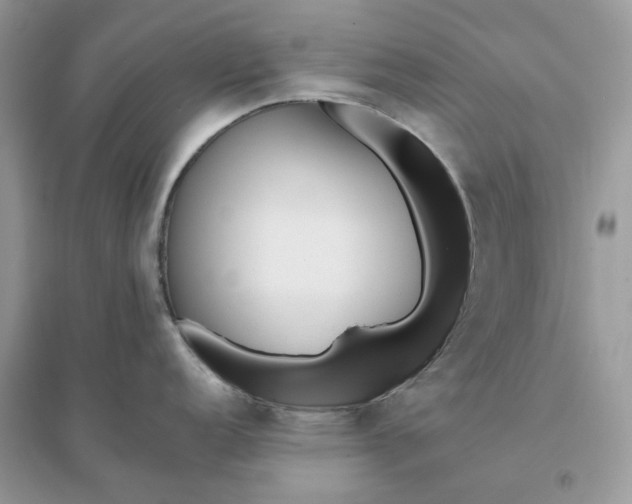 X0000096141152200802011205