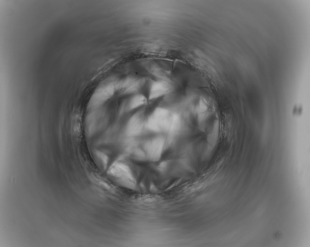 X0000096141154200802011204
