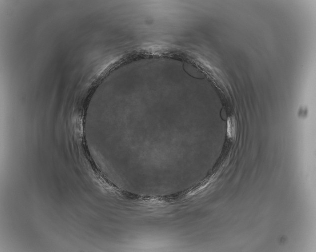 X0000096141155200802011204