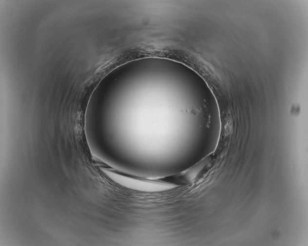 X0000096141156200802011204