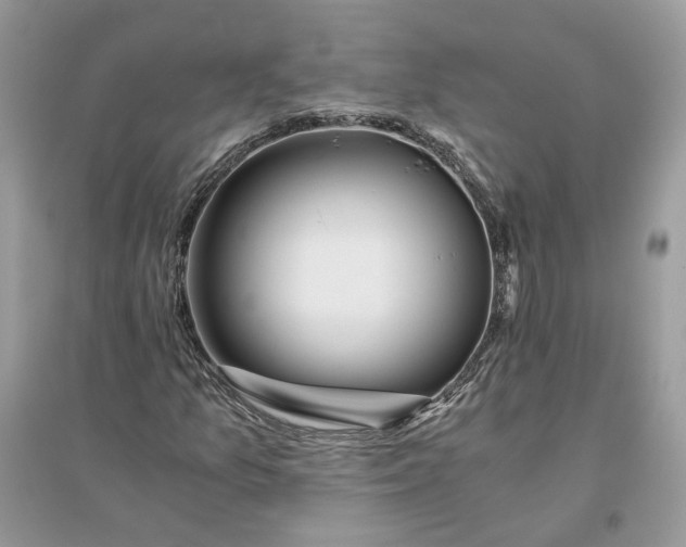 X0000096141157200802011204