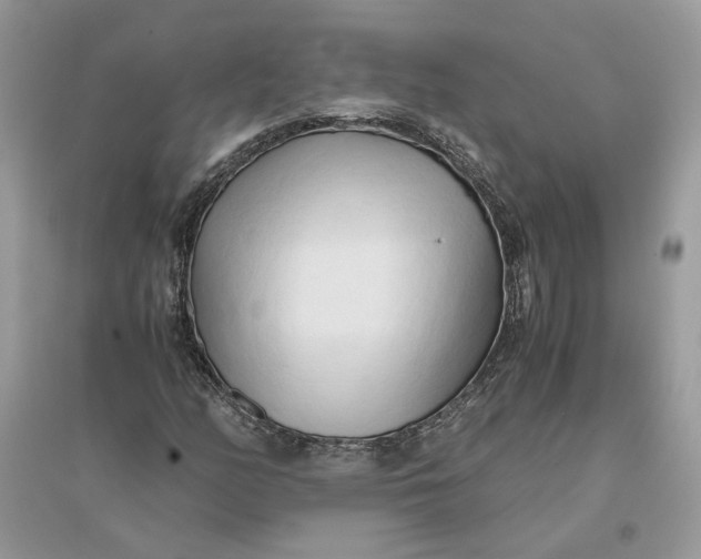 X0000096141158200802011204