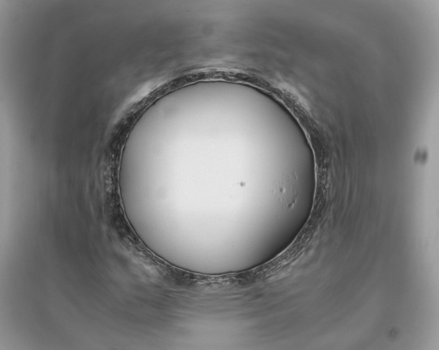 X0000096141159200802011204
