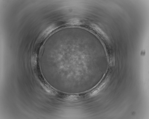 X0000096141161200802011204