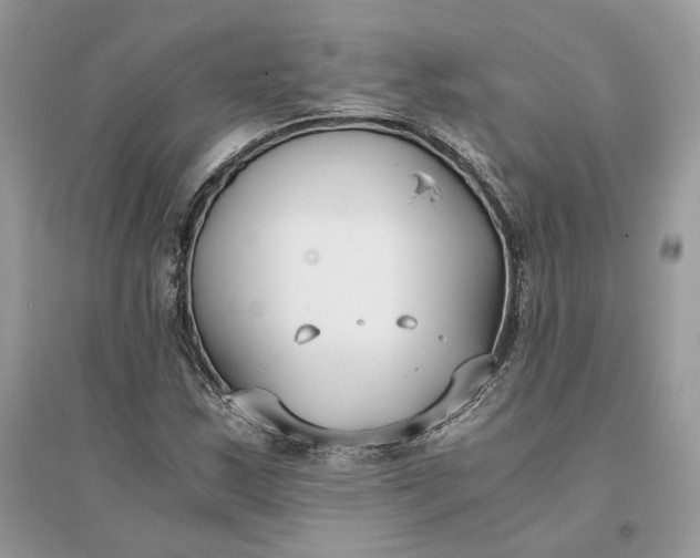 X0000096141163200802011204