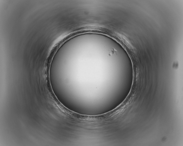 X0000096141164200802011204