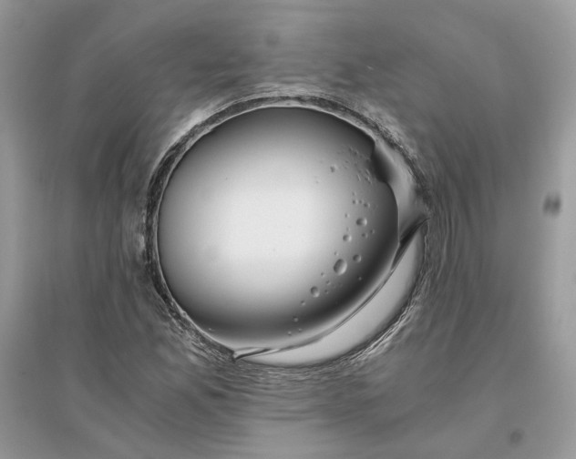 X0000096141165200802011204