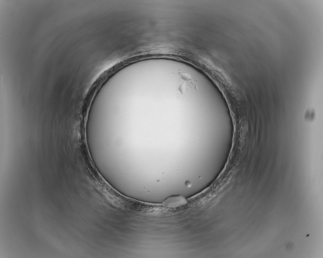 X0000096141166200802011204
