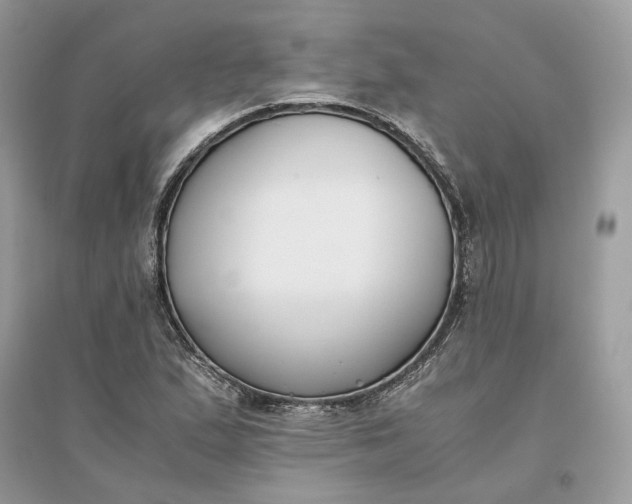 X0000096141167200802011204