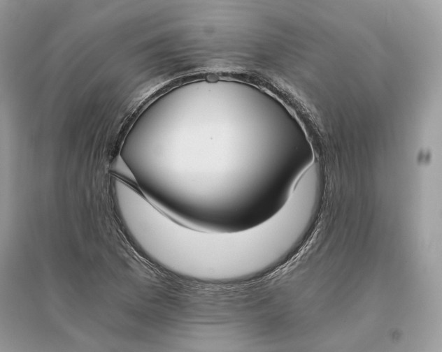 X0000096141169200802011204