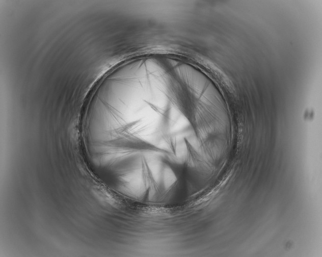 X0000096141170200802011204