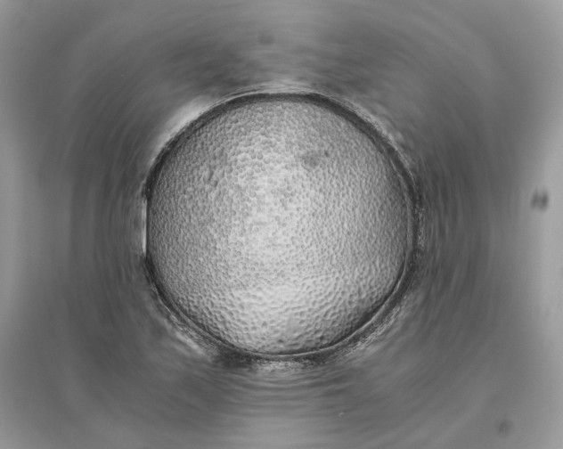 X0000096141171200802011204