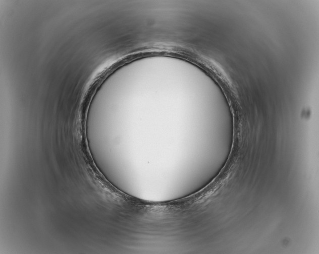 X0000096141172200802011204