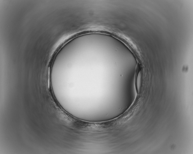 X0000096141175200802011204