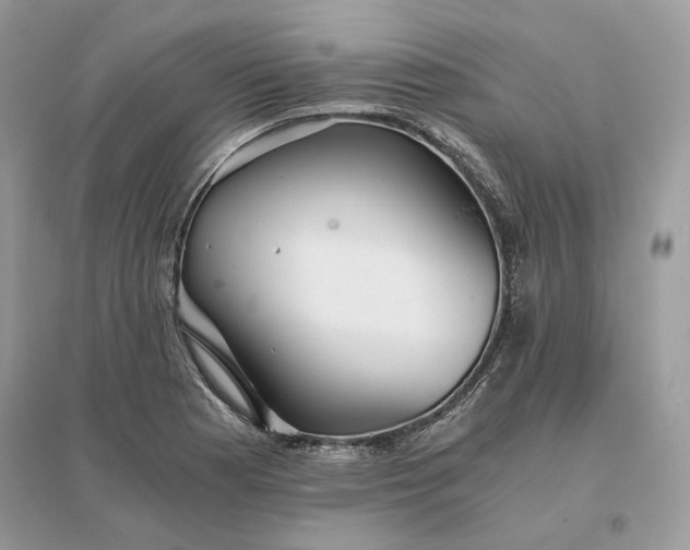 X0000096141177200802011204