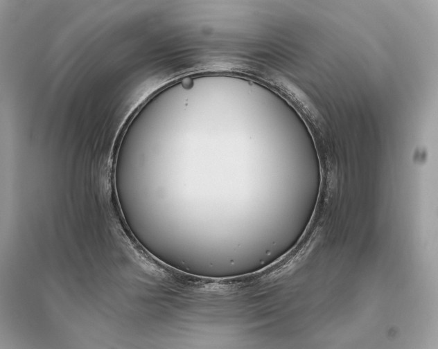 X0000096141178200802011204