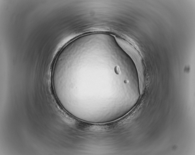 X0000096141179200802011204