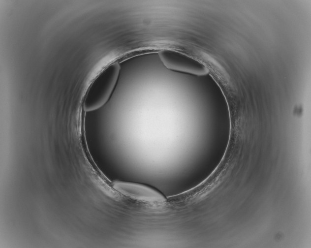 X0000096141180200802011204