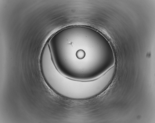 X0000096141181200802011204