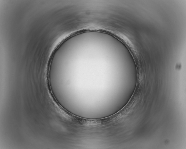 X0000096141183200802011204