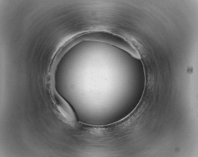 X0000096141184200802011204