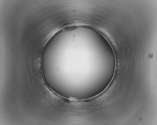 X0000096141185200802011204