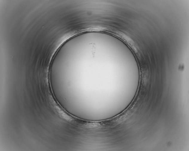 X0000096141186200802011204