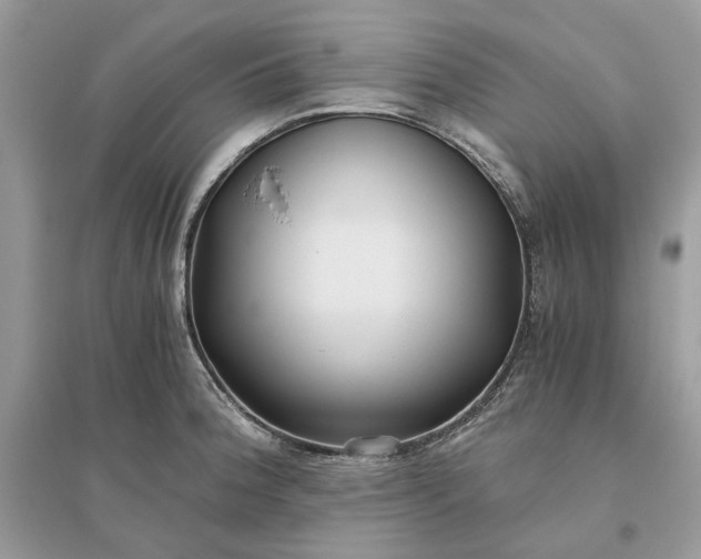 X0000096141188200802011204