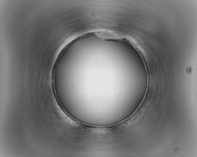 X0000096141189200802011204