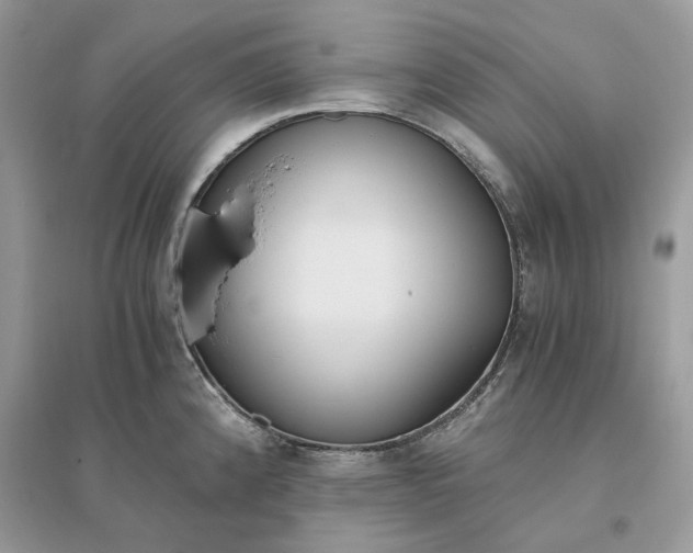 X0000096141192200802011204
