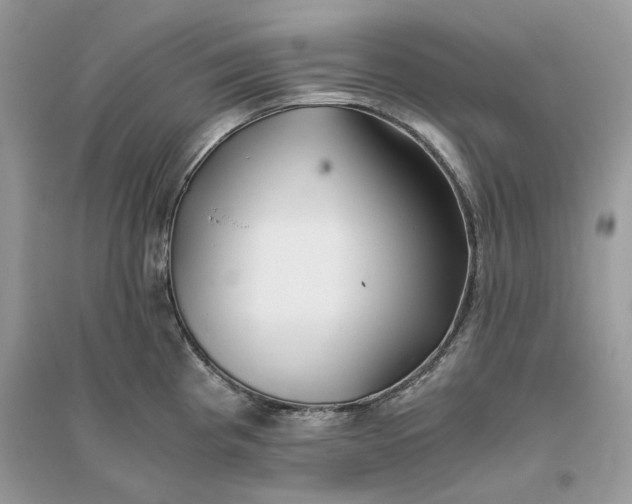 X0000096141193200802011204