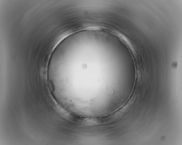 X0000096141194200802011204