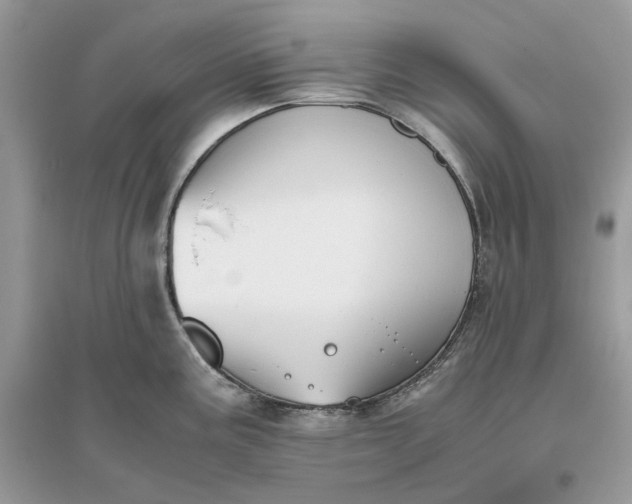 X0000096141195200802011204