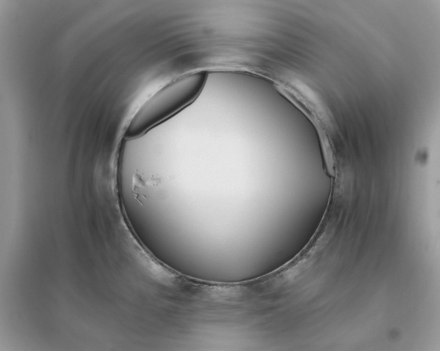 X0000096141196200802011203
