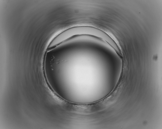 X0000096141197200802011203