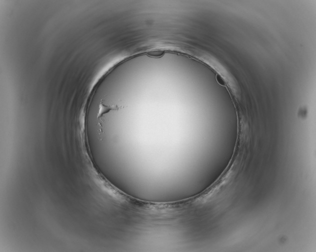 X0000096141198200802011203