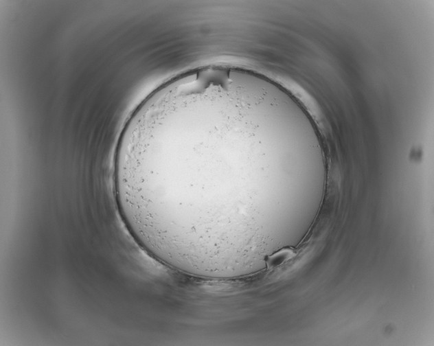 X0000096141199200802011203