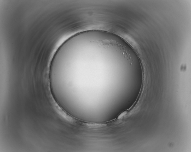 X0000096141200200802011203