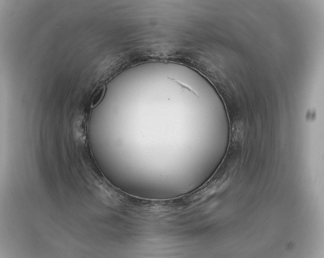 X0000096141202200802011203