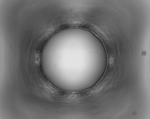 X0000096141204200802011203