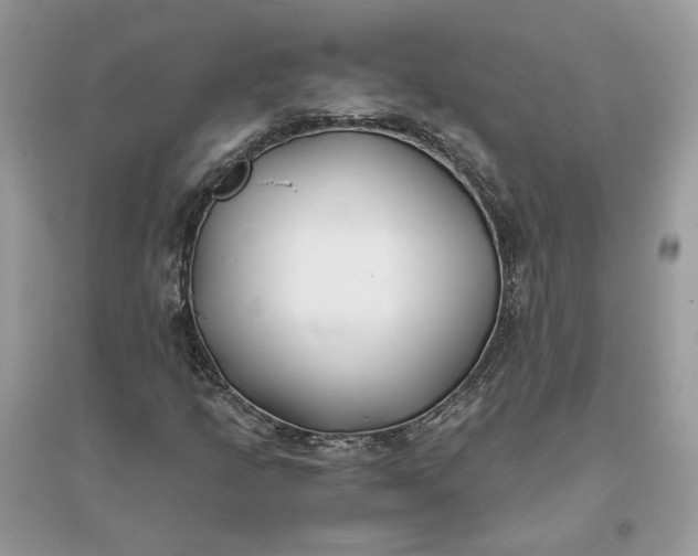 X0000096141205200802011203