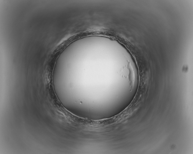 X0000096141206200802011203