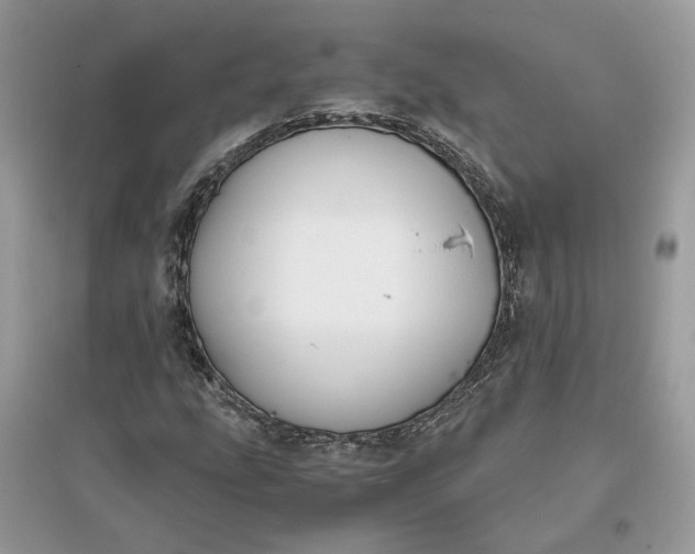 X0000096141207200802011203