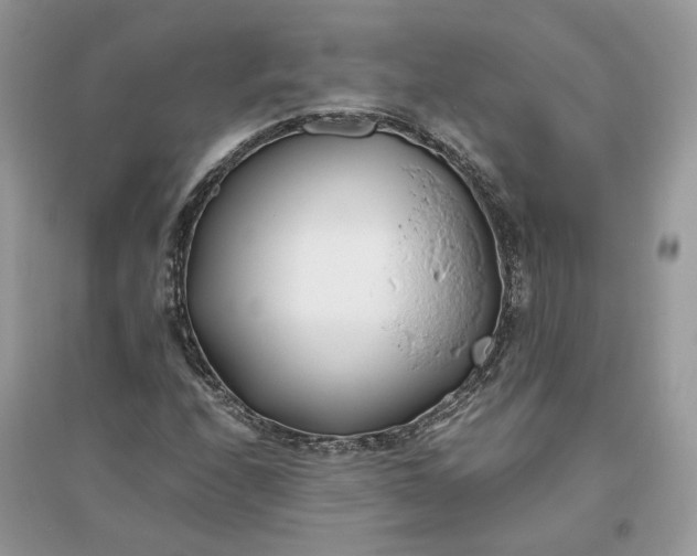 X0000096141208200802011203