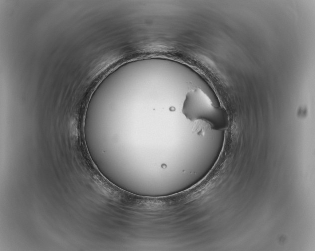X0000096141209200802011203