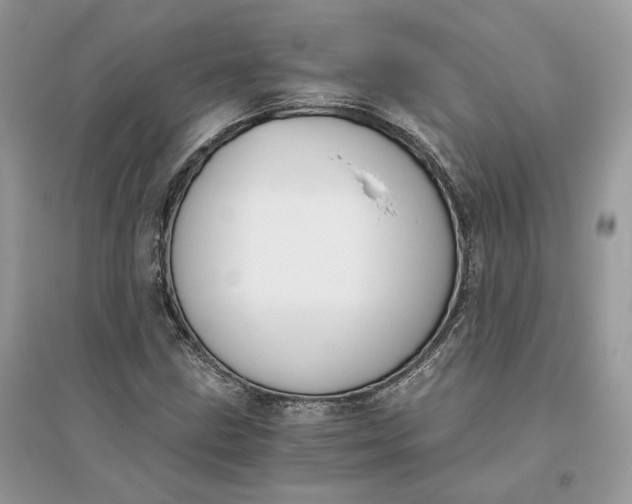 X0000096141211200802011203