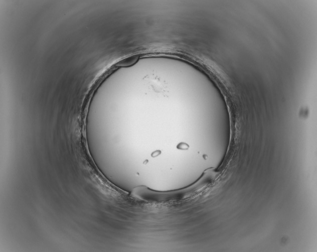 X0000096141212200802011203