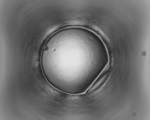 X0000096141213200802011203