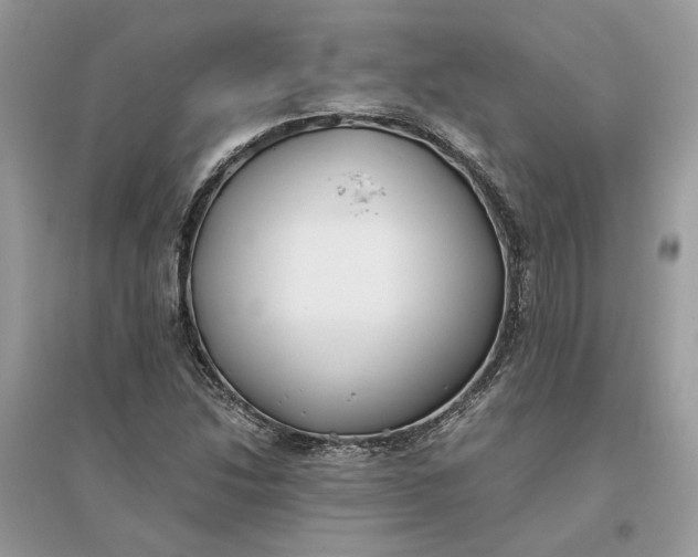 X0000096141214200802011203