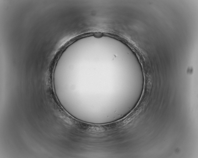 X0000096141215200802011203